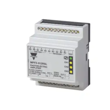 MPFRS/MPFRSL  593732 - 2 - trade-control.com.ua