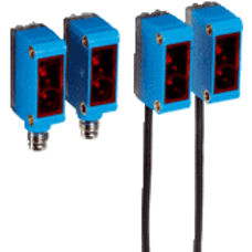 GSE6-P1111